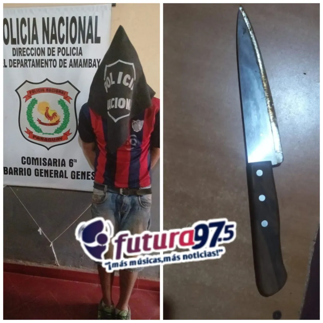 Detenido por hurto domiciliario y captura pendiente por violencia familiar