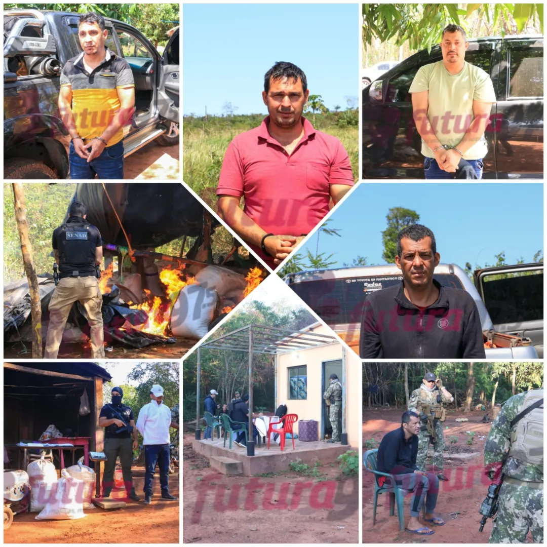SENAD desmantela red de producción de marihuana "VIP" en San Pedro y Amambay