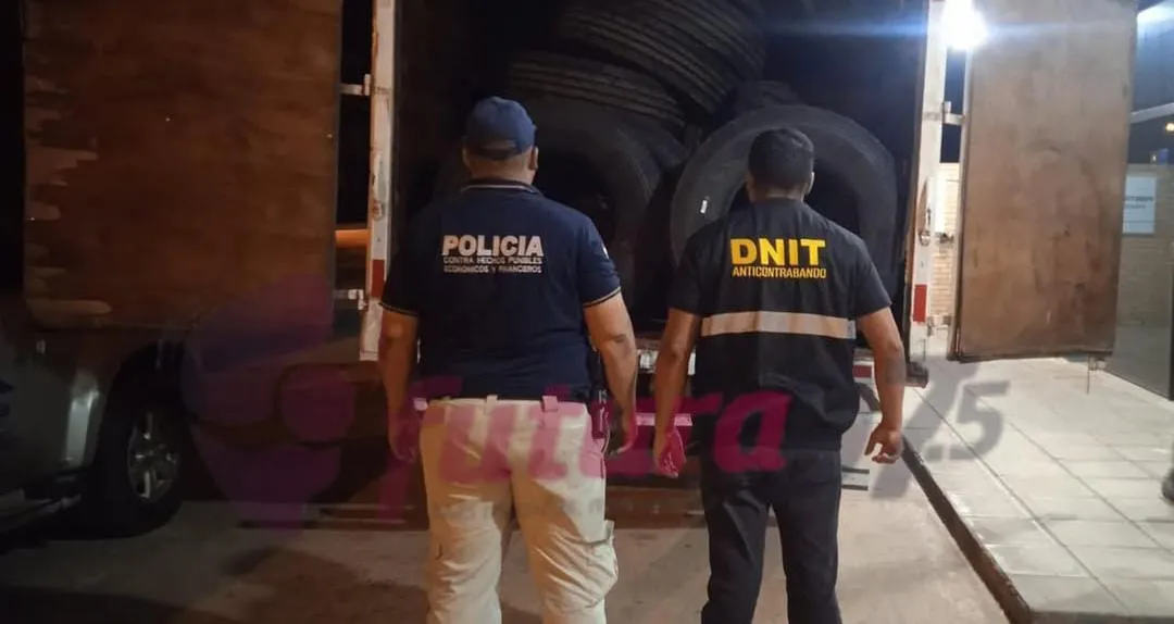Incautan camión con neumáticos sin documentación en control rutero