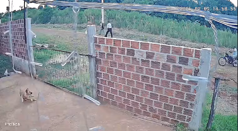 Detienen a sospechosos por matar a un perro