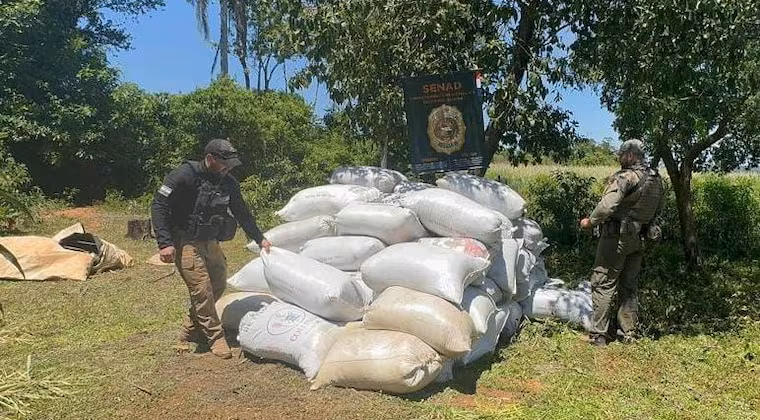 Nuevo golpe de la SENAD en Canindeyú: incautan más de 7 toneladas de marihuana