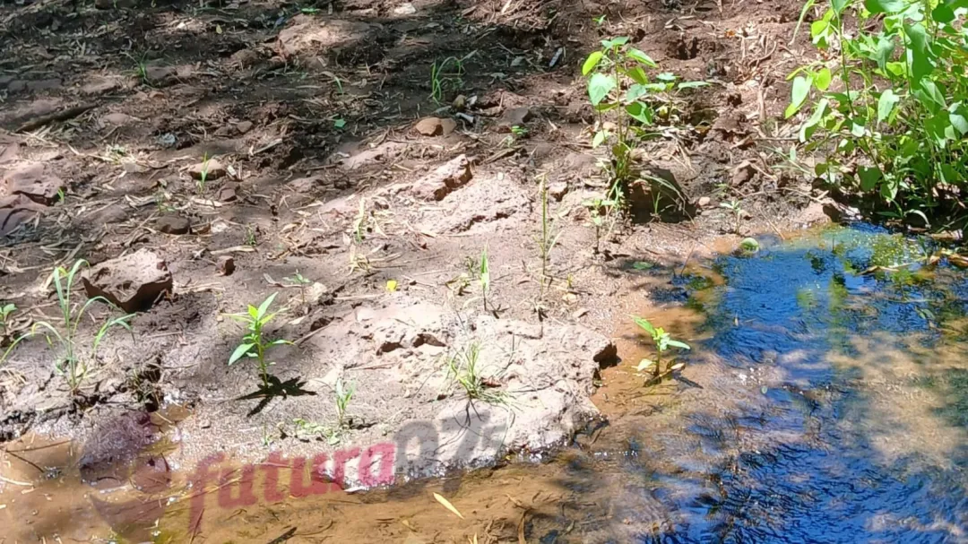 Hombre fallece por mordedura de serpiente en arroyo de Cerro Corá’i
