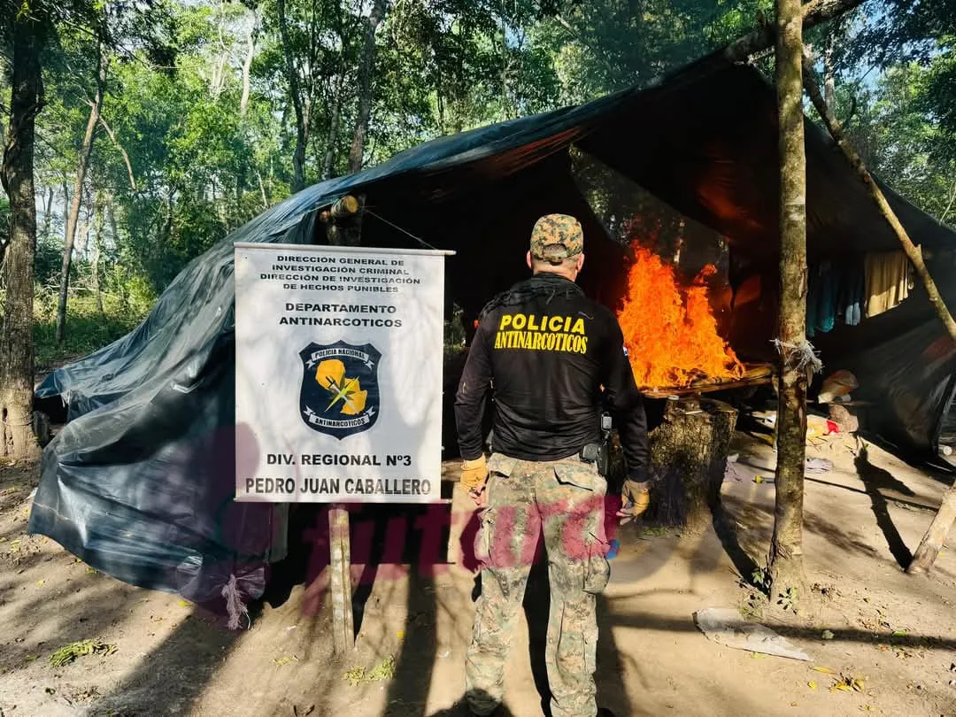 Antinarcóticos destruye 12 hectáreas de marihuana en Bella Vista Norte