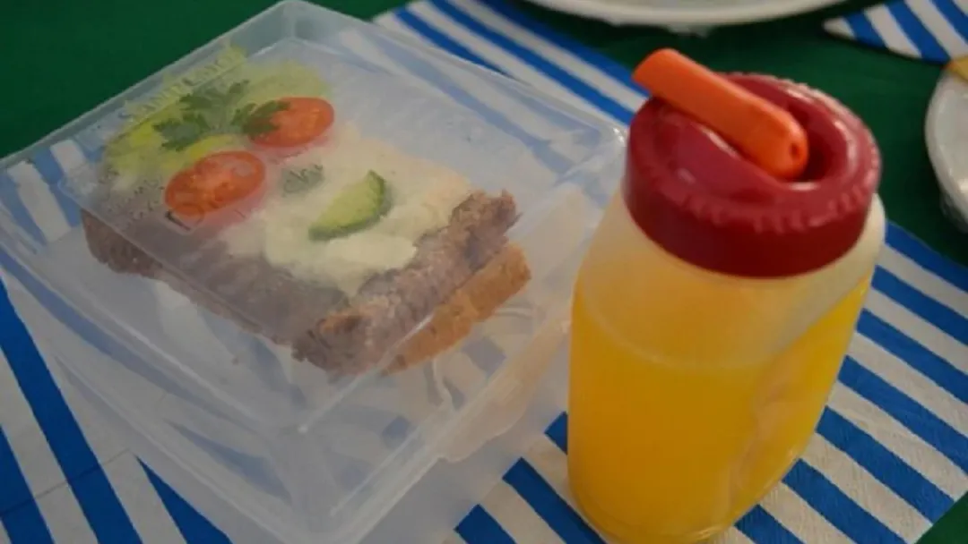 Vuelta a clases: ¿Qué alimentos deben consumir los estudiantes en el recreo?